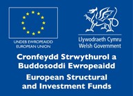 logo Cronfeydd Strwythurol a Buddesoddi Ewropeaidd