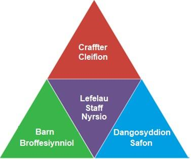 diagram lefel staff nyrsio