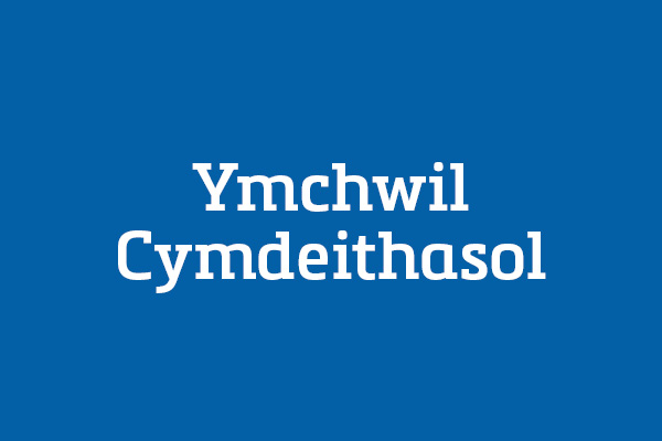 Ymchwil Cymdeithasol