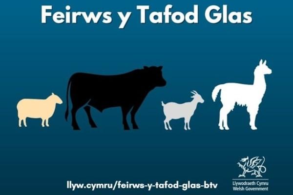 Tafod Glas